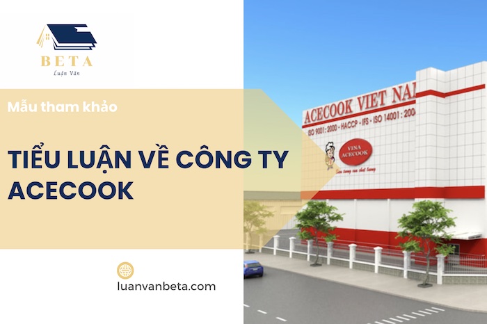 List Đề Tài Tiểu Luận Về Công Ty Acecook Ấn Tượng 2025